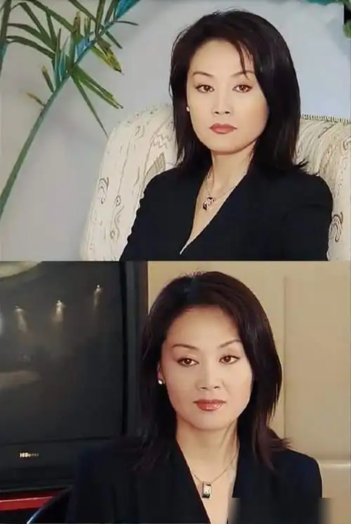 她因《北京人在纽约》红透影视圈,57岁的王姬人生比戏剧更精彩