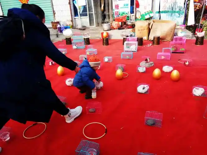 【新春第一篇】金乡年味浓♥套圈♥ - 美篇