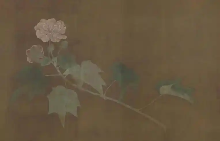 赵昌 宋 花卉四段图#赵昌#花卉四段图#绘画 #工笔花鸟#工 - 抖音