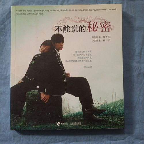 [二手9成新] 不能说的秘密.(书内页干净品好)