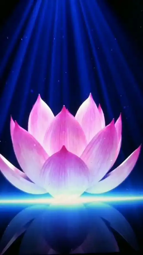 愿做菩萨那朵莲!南无阿(ē)弥陀佛!050505