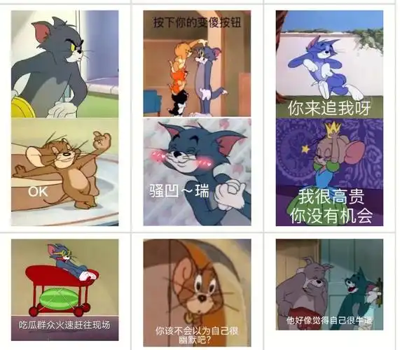 猫和老鼠表情包