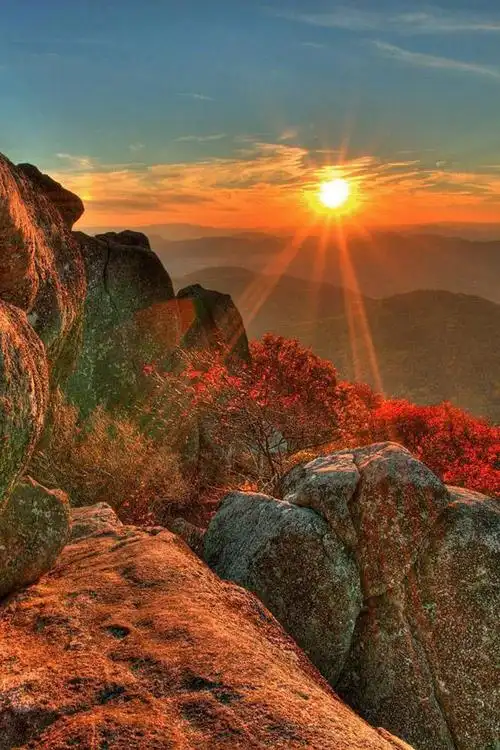 日出东方,风景-手机壁纸