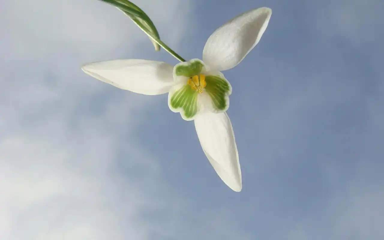 在填饱肚子的同时,我们用五花八门的美食来奖赏自己.