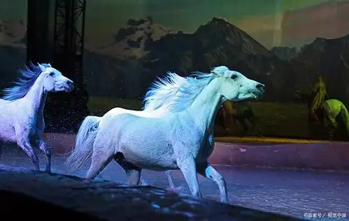 "五花马"真实存在吗?(下篇)