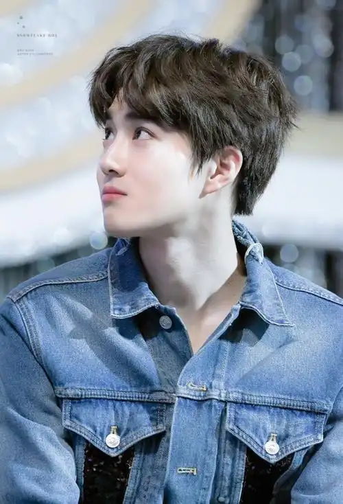 exo 金俊勉 suho