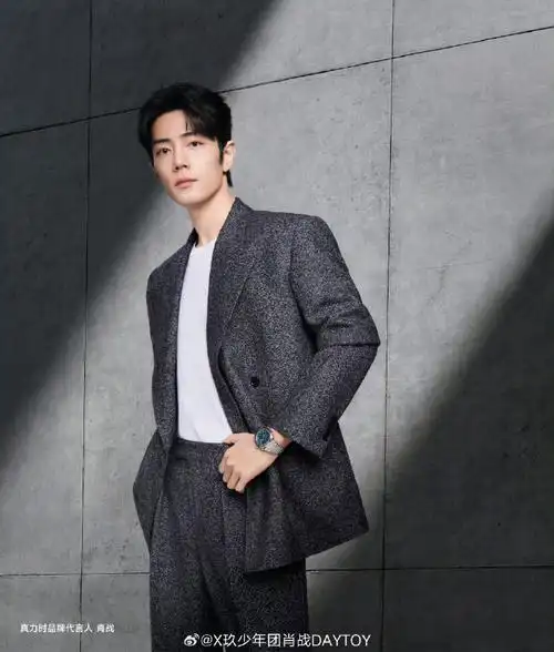肖战花灰色西装写真