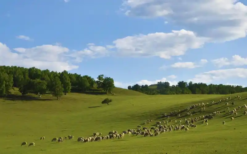 乌兰布统清新自然风光桌面壁纸高清大图预览1920x1200_风景壁纸下载