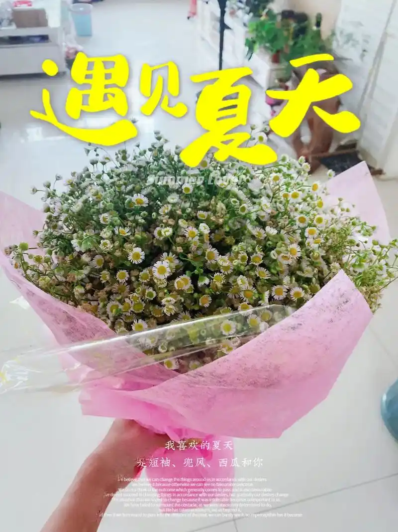 假装这是一束"满天星"98,假装我收到了一束花98—00来自 - 抖音