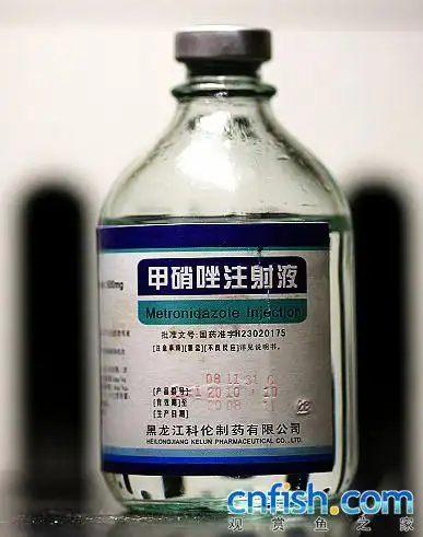 5毫升药液(鱼的体重150克)1,将鱼捞出来用毛巾裹上防止蹦落  2,选择鱼