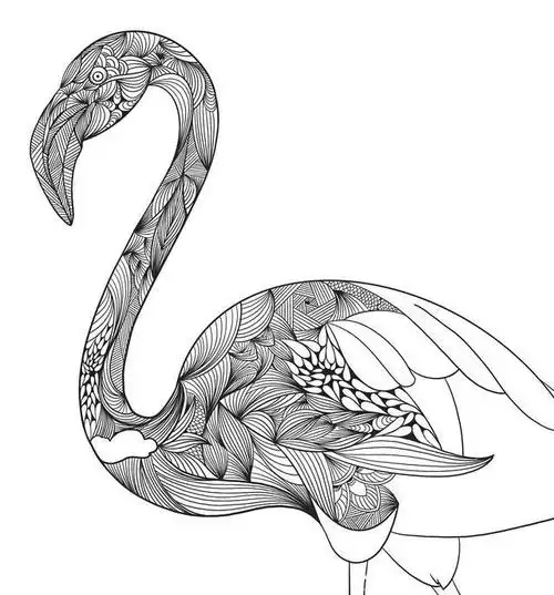 线描动物火烈鸟,简单的线条,画完太好看了