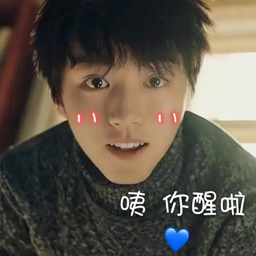 王俊凯表情包图片