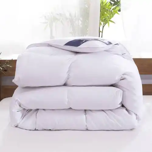 新款斜纹羽绒被羽丝被春秋被芯冬被加厚保暖单人双人学生被子冬季