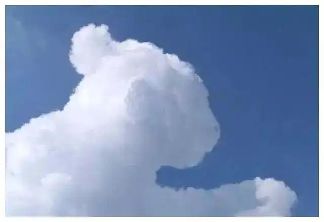 天上挂着一朵狗云吸引了无数养狗人的羡慕这些云真可爱