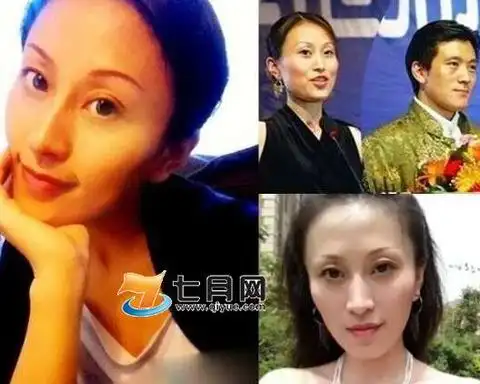 杨子有多少个女人杨子背后的女人大盘点