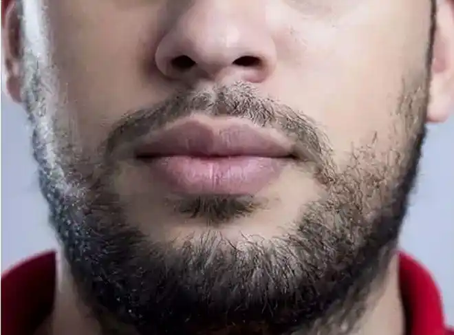 胡子|进化论|长颈鹿_网易订阅