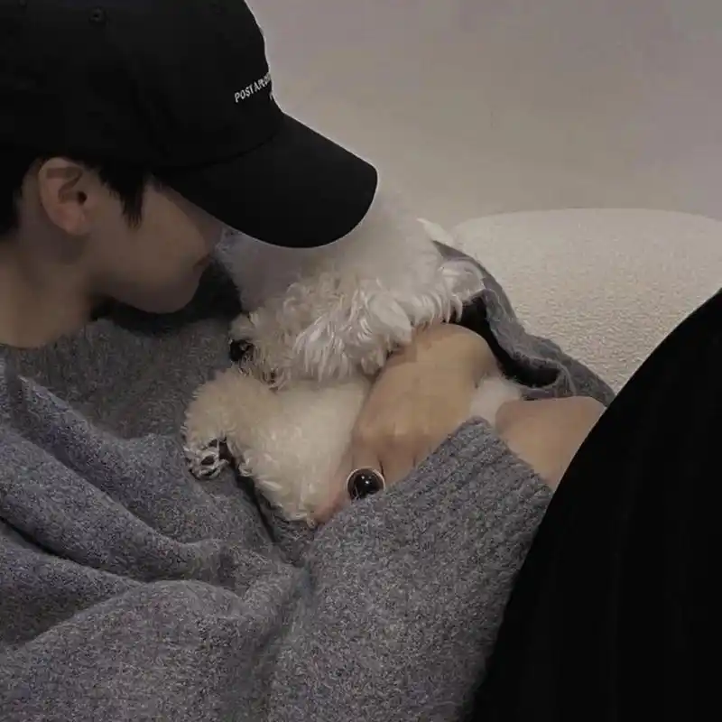 微信|男生头像 "正义不可扭曲,信仰亦不可臣服于儿女私情"