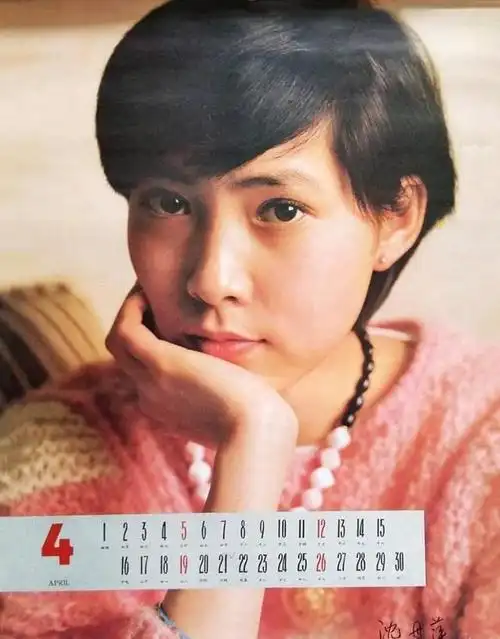 沈丹萍:换过50多个保姆,提过100多次离婚