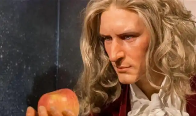 牛顿死亡原因是什么意思,死去的牛顿图片大全(死去的牛顿图片) - 网络