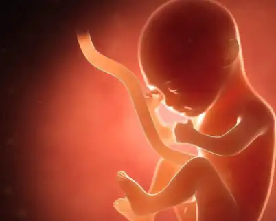 一般在怀孕六个月的时候,妈妈都会去医院做四维彩超,而这个时候宝宝的