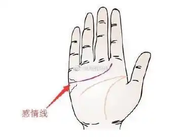 感情线断裂成两截一上一下感情线断裂解析