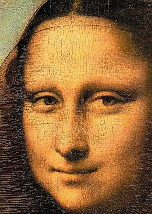 蒙娜丽莎的微笑