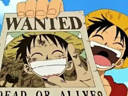 8.蒙奇·d·路飞试想,这么一个风光的老公带出去,还不羡煞一票闺蜜!