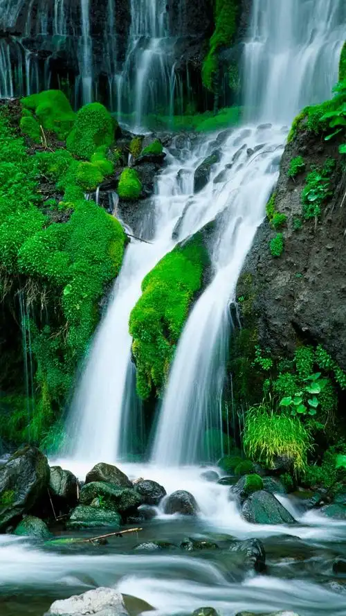 素白的瀑布喷泻而下,与绿色的青苔,静卧的… - 堆糖,美图壁纸兴趣社区