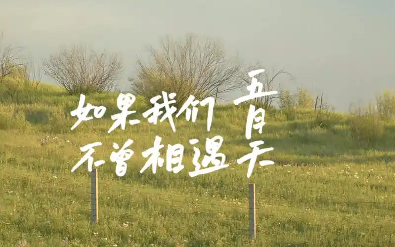 动态歌词排版||如果我们不曾相遇||五月天