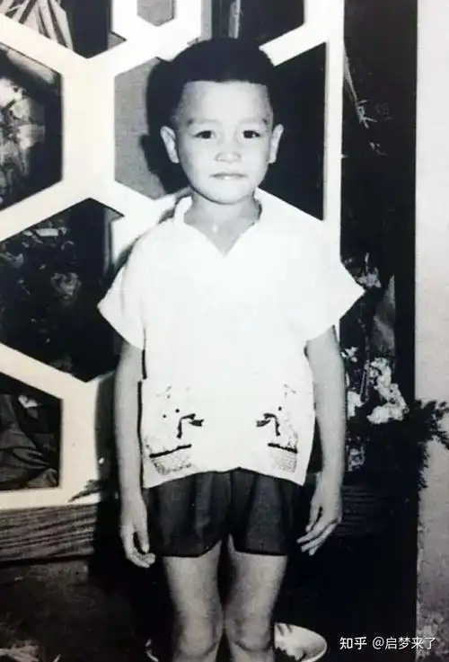 吴奇隆可爱,苏有朋呆萌,林更新搞笑,赵丽颖要哭,刘诗诗从小气质好!