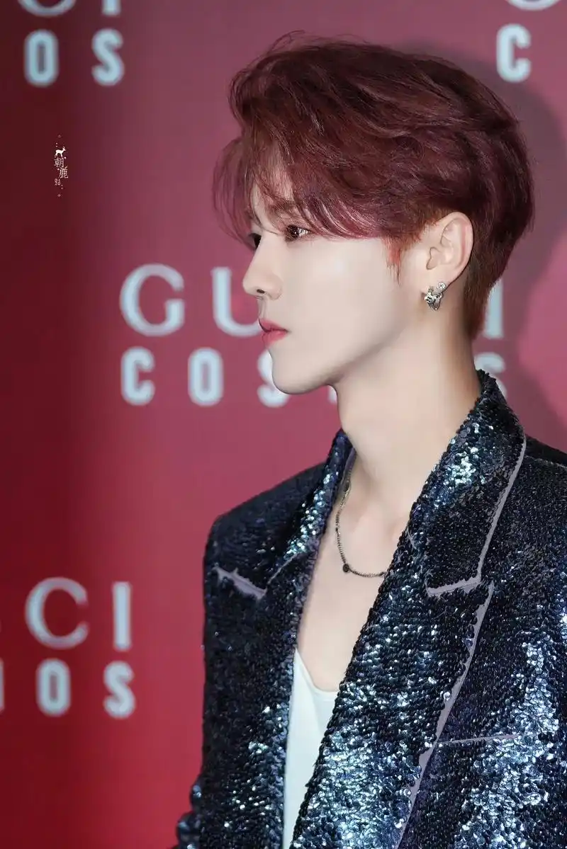 这侧脸绝了啊#鹿晗 #gucci红毯 - 抖音