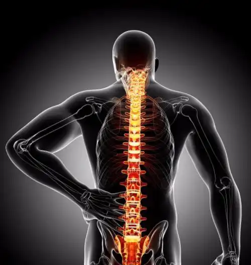 这5个习惯正毁掉你的腰!