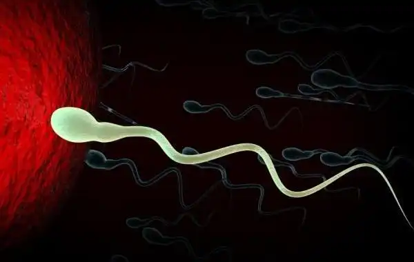 男性精子畸形比较适合做美国第几代试管婴儿技术