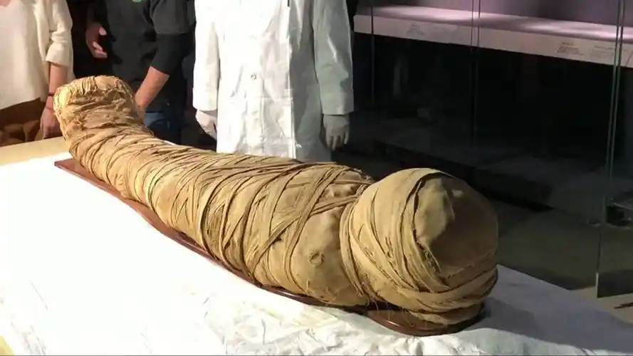 木乃伊制作过程步骤图(如何制作一具皇家木乃伊?