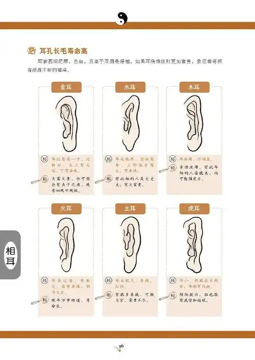 5.面向速查——耳