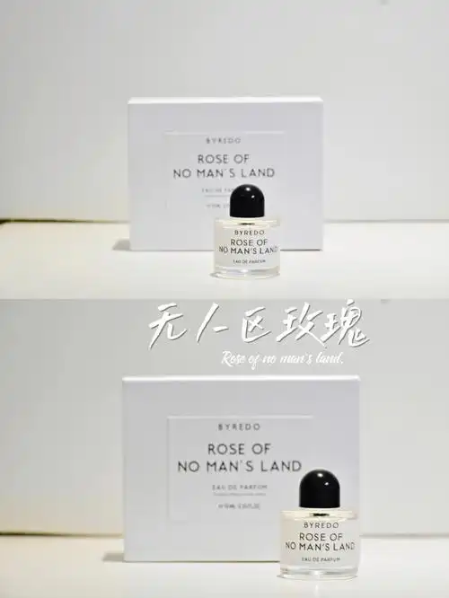 roseofnomansland无人区玫瑰