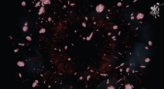 有一种美,让 "五毛钱特效"无法存在.