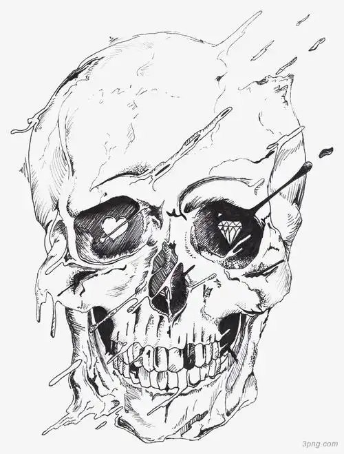 素描画骷髅头png素材透明免抠图片-节日元素