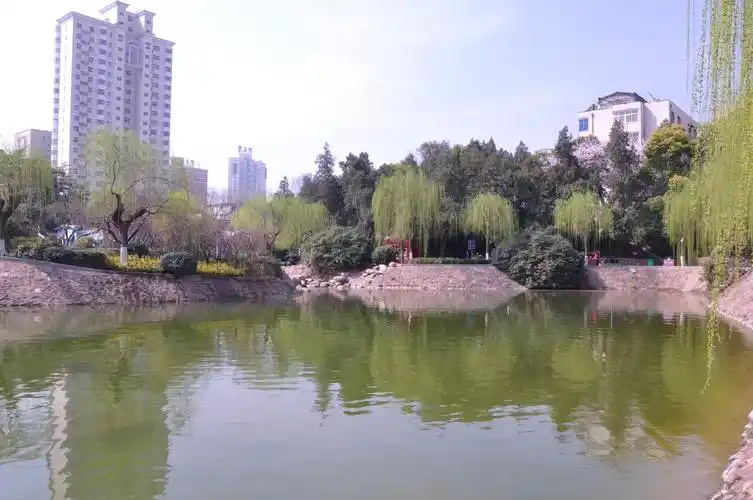 春天的郑州紫荆山公园 - 美篇