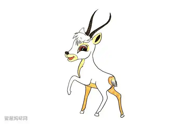 小藏羚羊怎么画