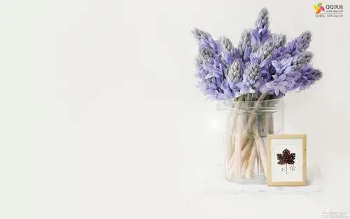 清新风尚个性电脑壁纸