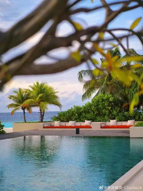 泳池 游泳池 690_920 竖版 竖屏