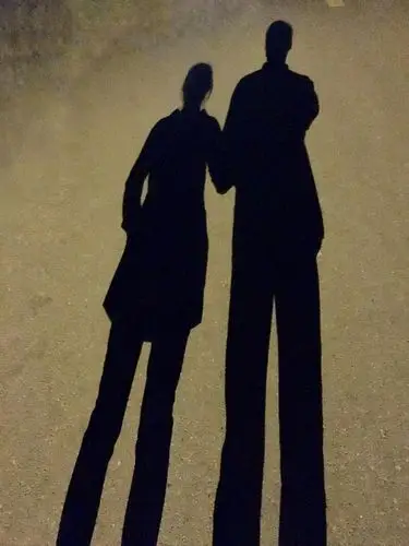 那年夏天 晚上饭后和老婆散步走在路灯下发现我们的影子好