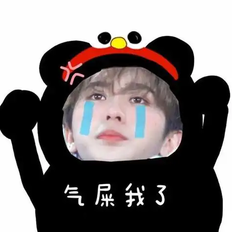 蔡徐坤熊猫脸头像沙雕