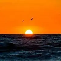 2020最吉利的微信头像大海日出点击鼠标右键下载