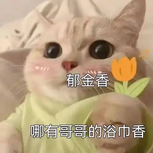 污污瑟瑟撩人色色表情包