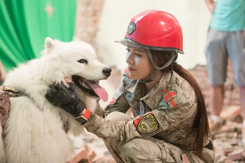 神犬小七3开播宋妍霏强烈反差萌戏内女汉子戏外精致girl