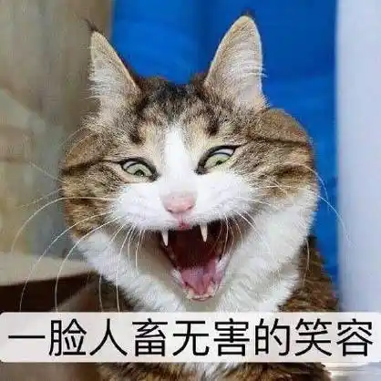 脸人畜无害的笑容 - 猫星人表情包第十弹_猫咪表情
