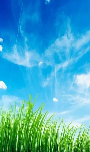 一组护眼壁纸,喜欢点赞关注吧.|护眼|壁纸_新浪新闻