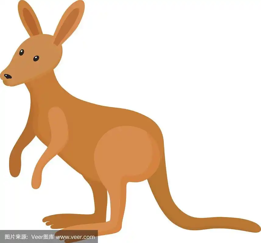 袋鼠,卡通,可爱的,分离着色,白色背景